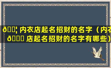 🐦 内衣店起名招财的名字（内衣 🍁 店起名招财的名字有哪些）